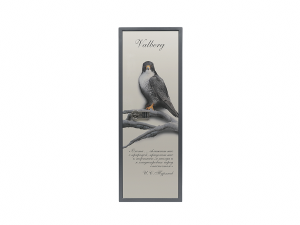 Сейф для оружия Valberg Сапсан-4 EL PRINT